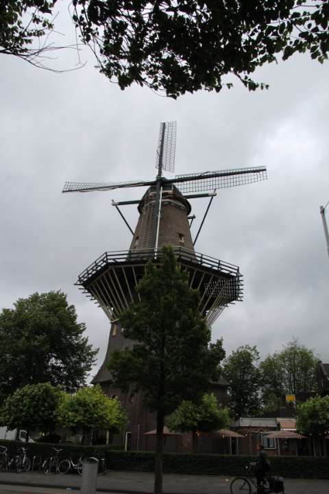 IMG_3010.JPG
