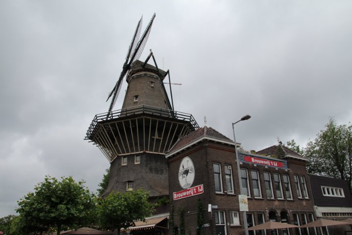 IMG_3016.JPG