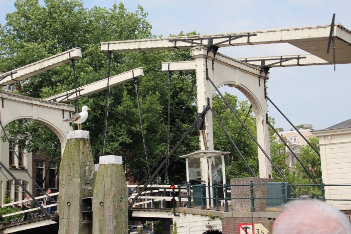IMG_3172.JPG