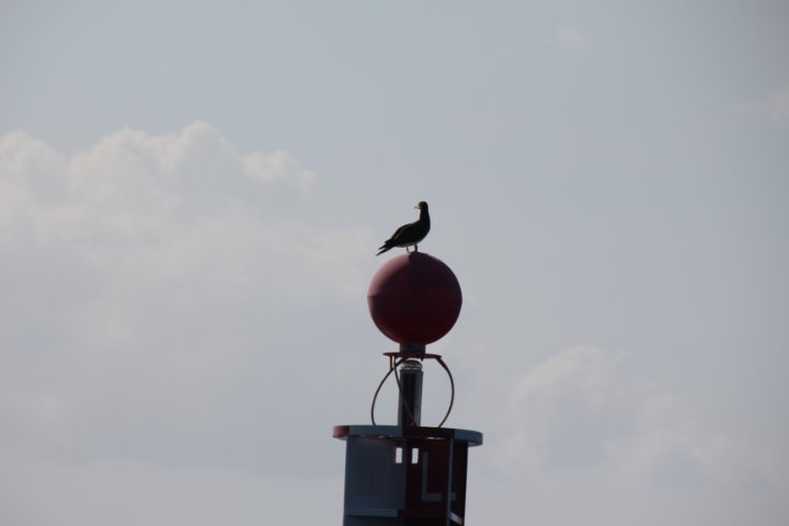 IMG_2481.JPG