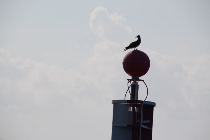 IMG_2482.JPG