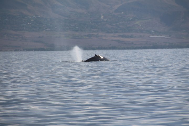 IMG_2484.JPG
