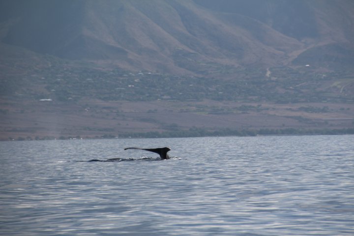 IMG_2488.JPG