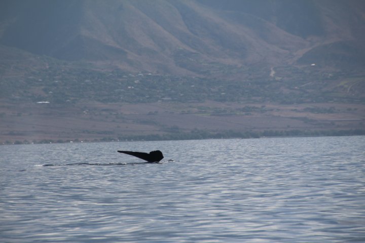 IMG_2489.JPG