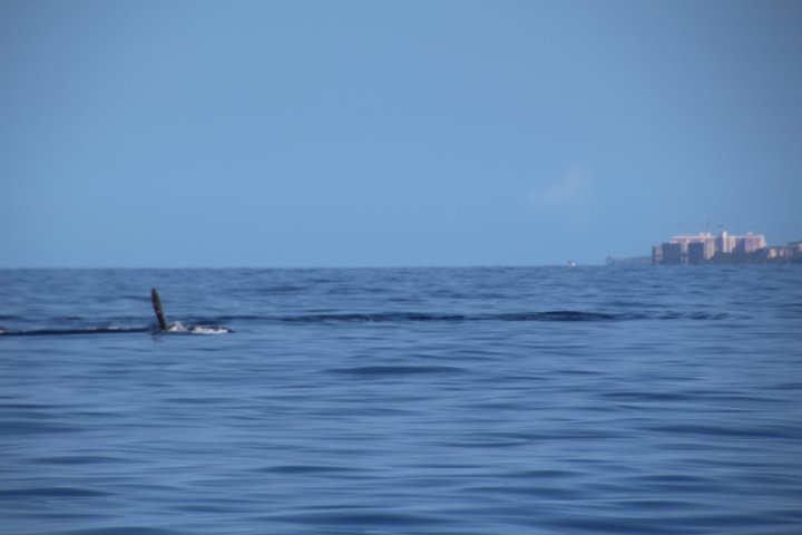 IMG_2493.JPG