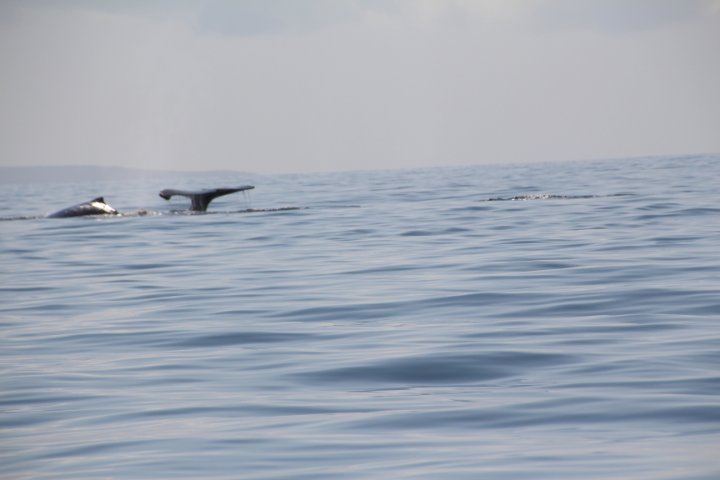 IMG_2499.JPG