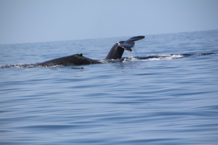 IMG_2510.JPG