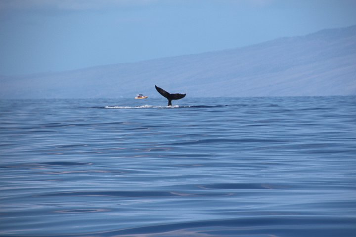 IMG_2514.JPG
