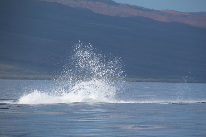 IMG_2528.JPG