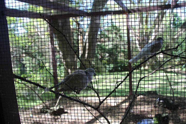 IMG_2564.JPG
