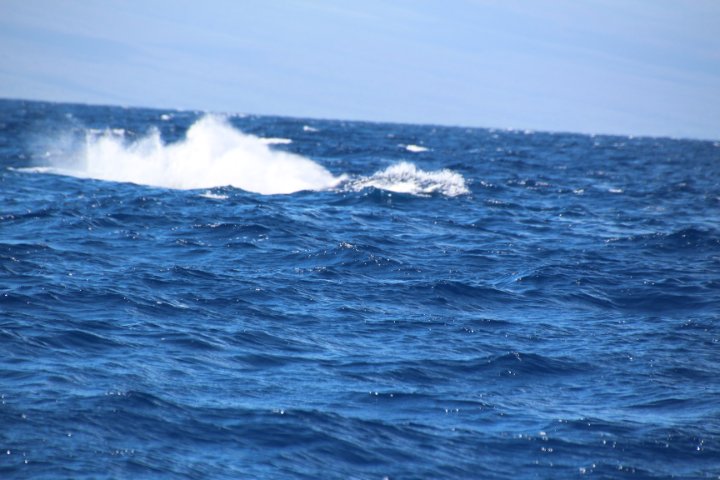 IMG_2654.JPG