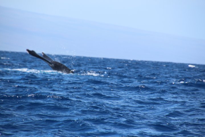 IMG_2657.JPG