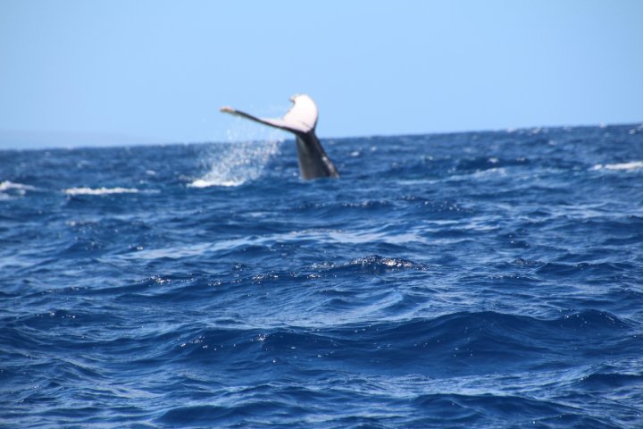 IMG_2661.JPG
