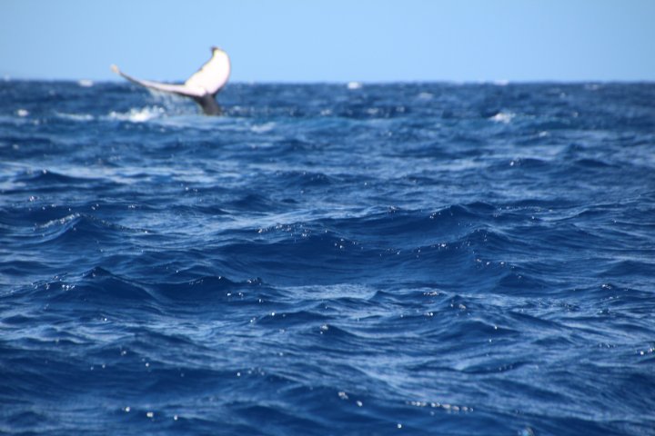 IMG_2662.JPG