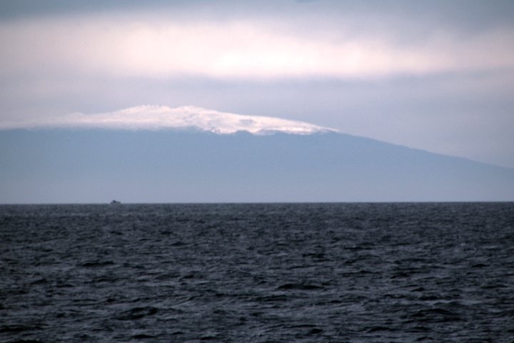 IMG_3205.JPG