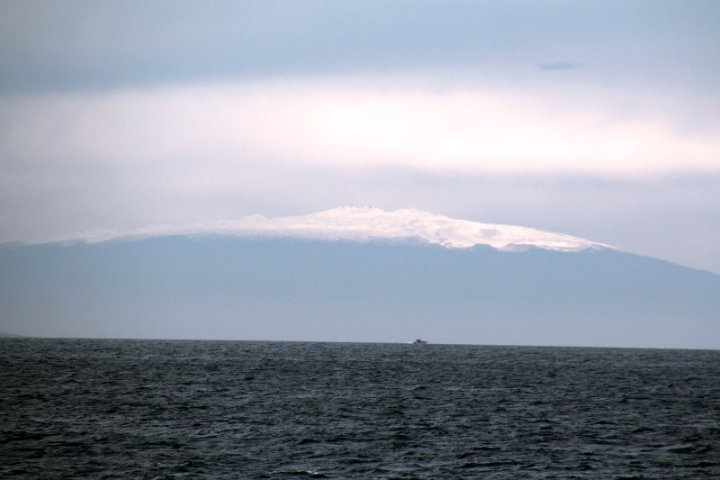 IMG_3206.JPG