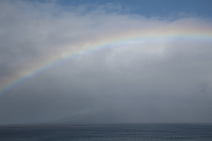 IMG_3384.JPG
