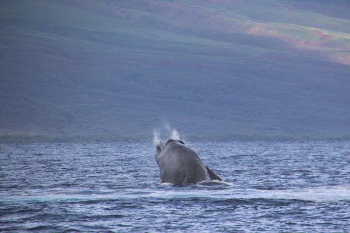 IMG_3364.JPG