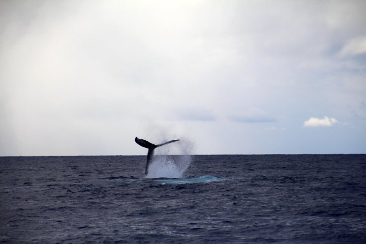 IMG_3370.JPG
