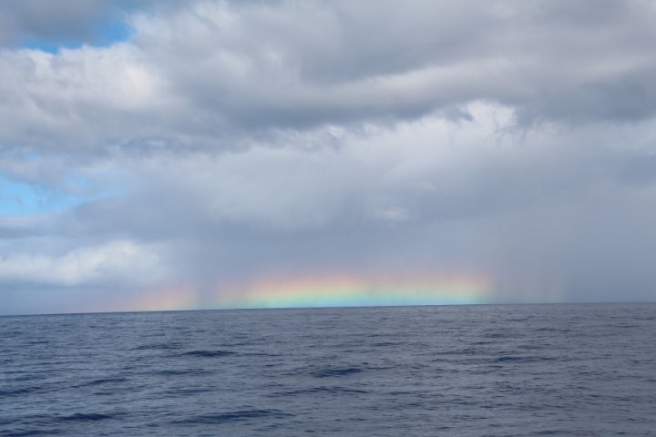 IMG_3382.JPG
