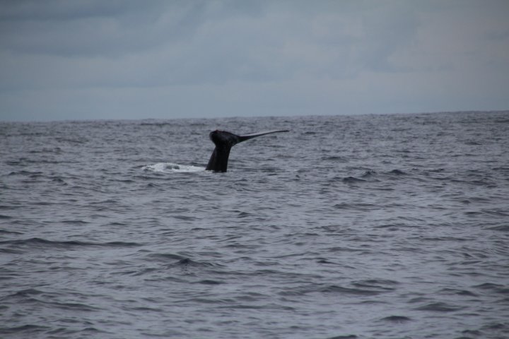 IMG_3433.JPG