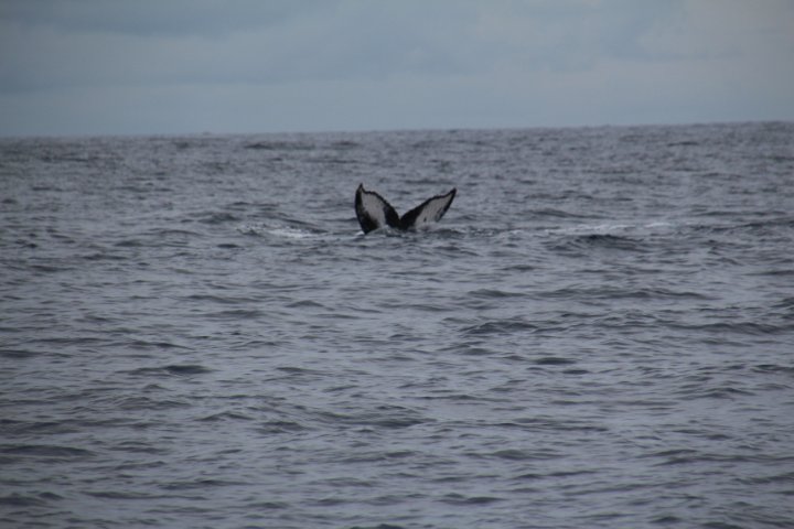IMG_3434.JPG