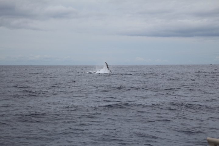 IMG_3437.JPG