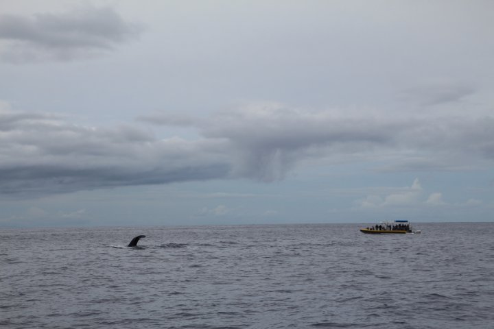 IMG_3441.JPG