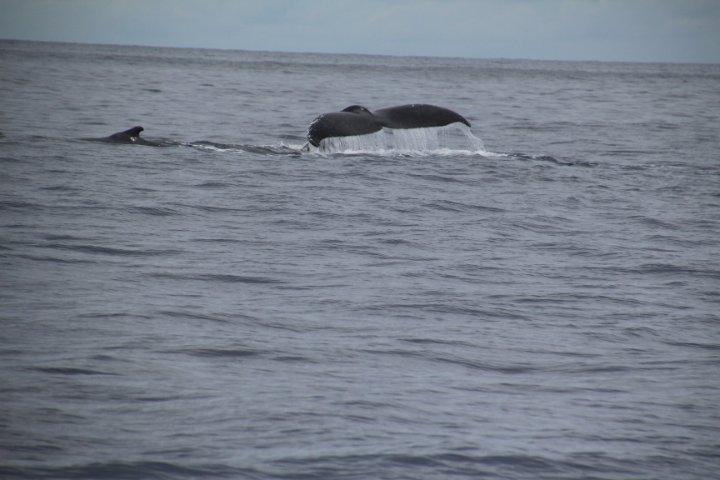 IMG_3449.JPG