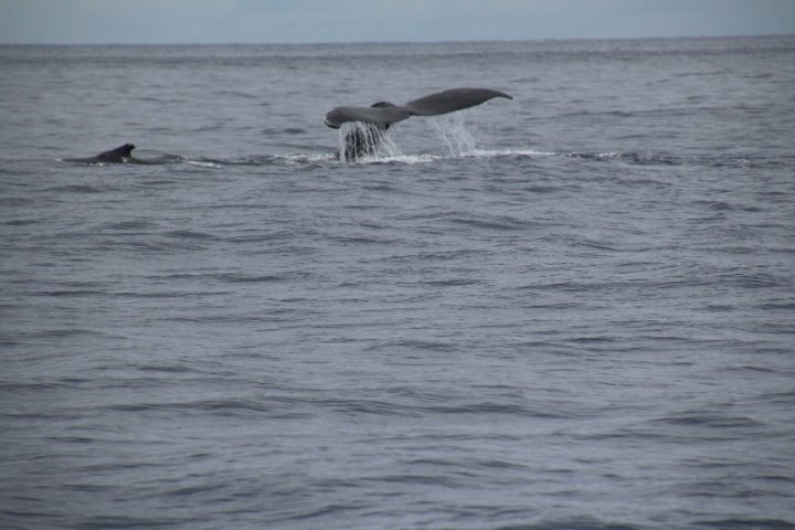 IMG_3450.JPG