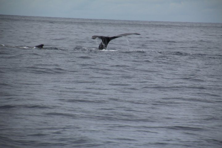 IMG_3451.JPG