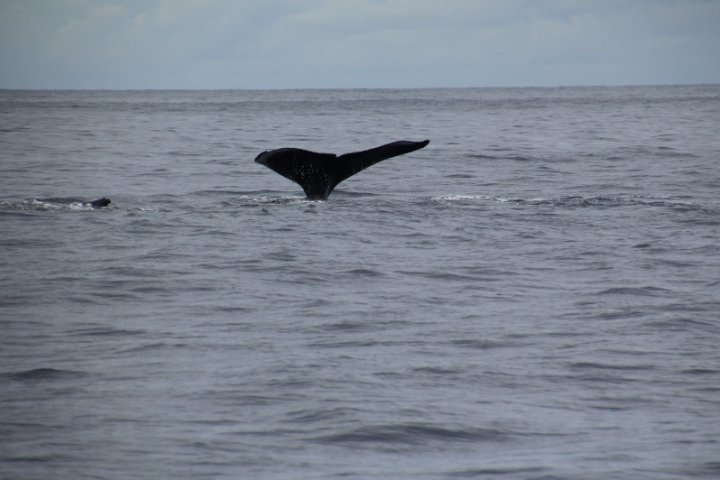 IMG_3453.JPG