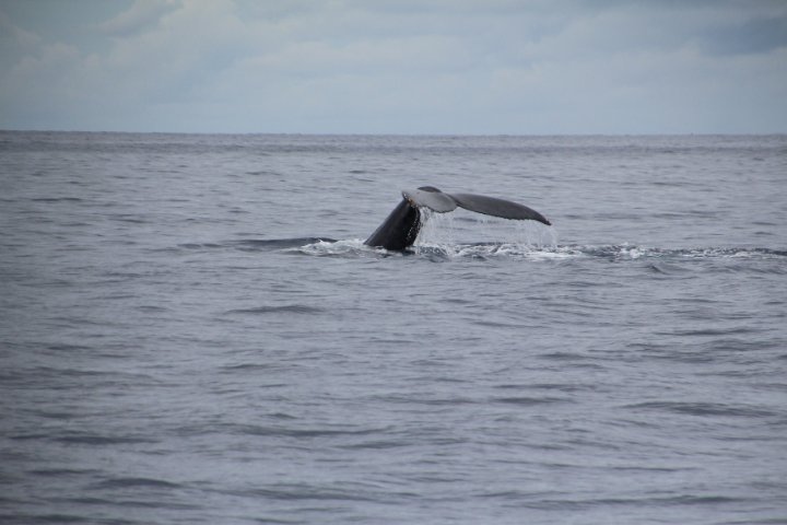 IMG_3455.JPG