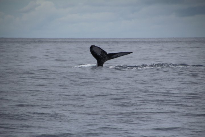 IMG_3456.JPG