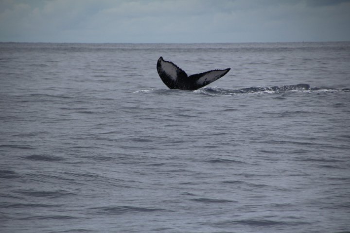 IMG_3457.JPG