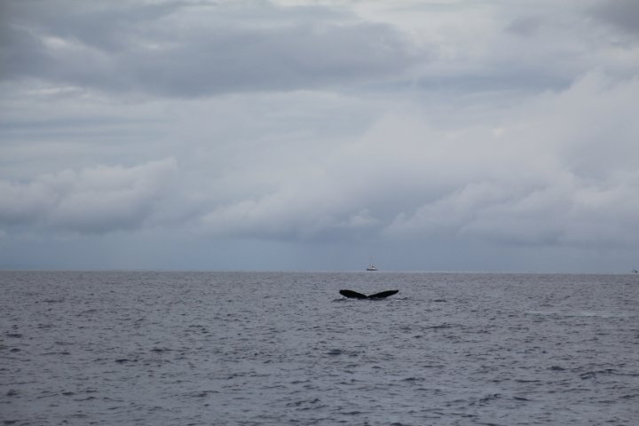 IMG_3459.JPG