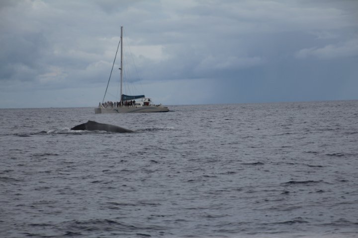IMG_3463.JPG