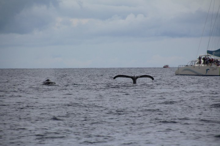 IMG_3464.JPG