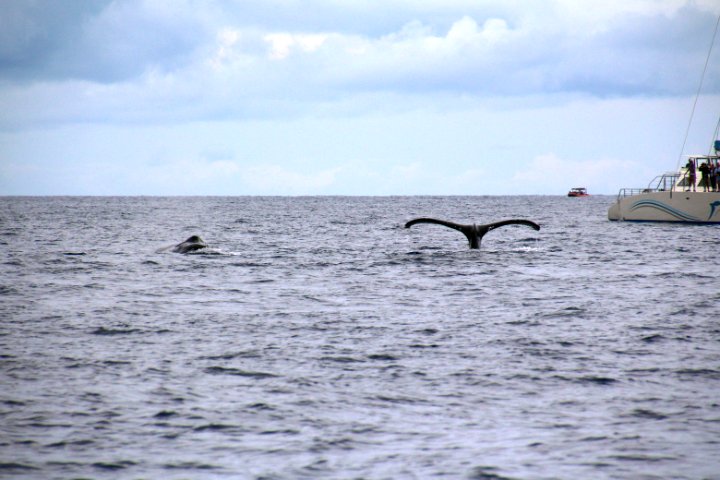 IMG_3465.JPG