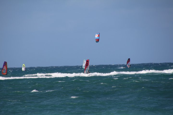 IMG_3391.JPG