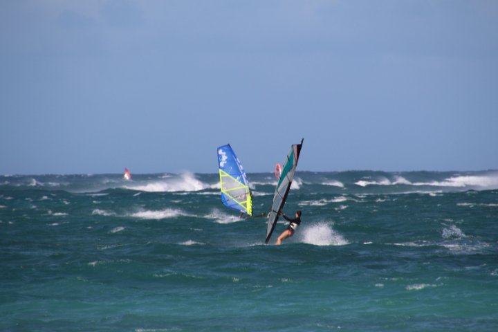IMG_3392.JPG