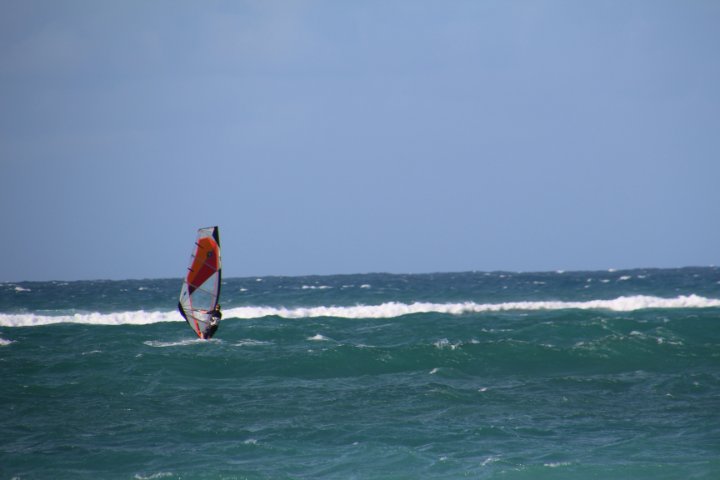 IMG_3401.JPG