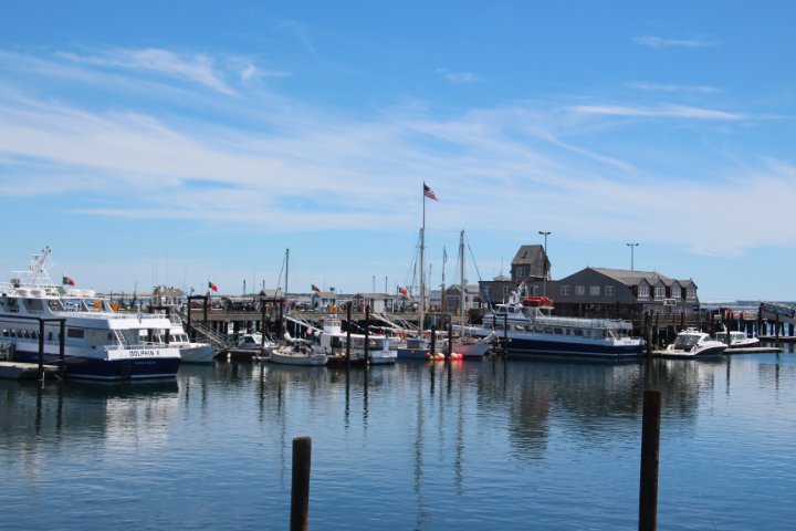 IMG_2084.JPG