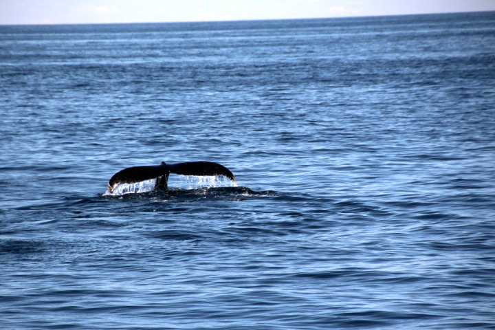 IMG_2173.JPG