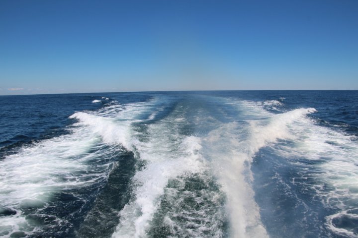 IMG_2315.JPG