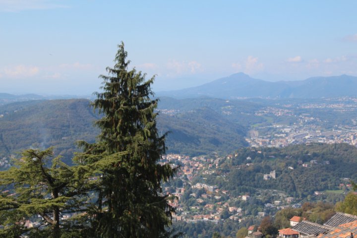 IMG_1654.JPG