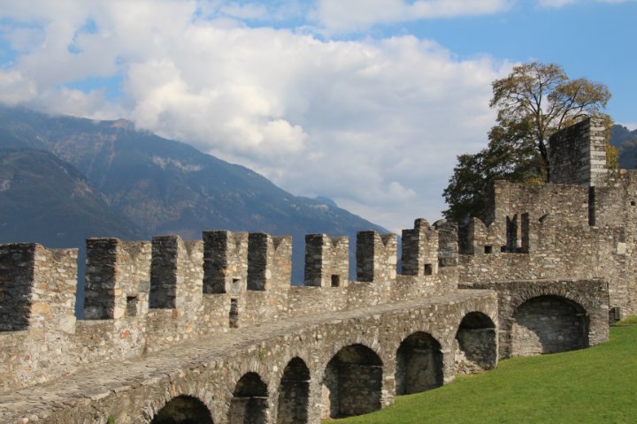 IMG_2203.JPG