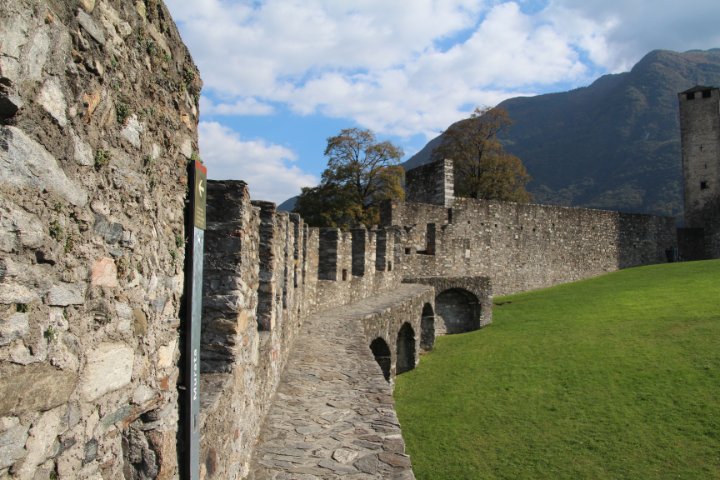 IMG_2205.JPG