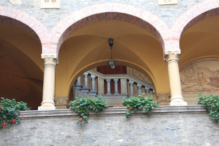 IMG_2264.JPG