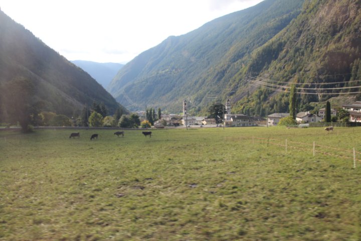IMG_1390.JPG